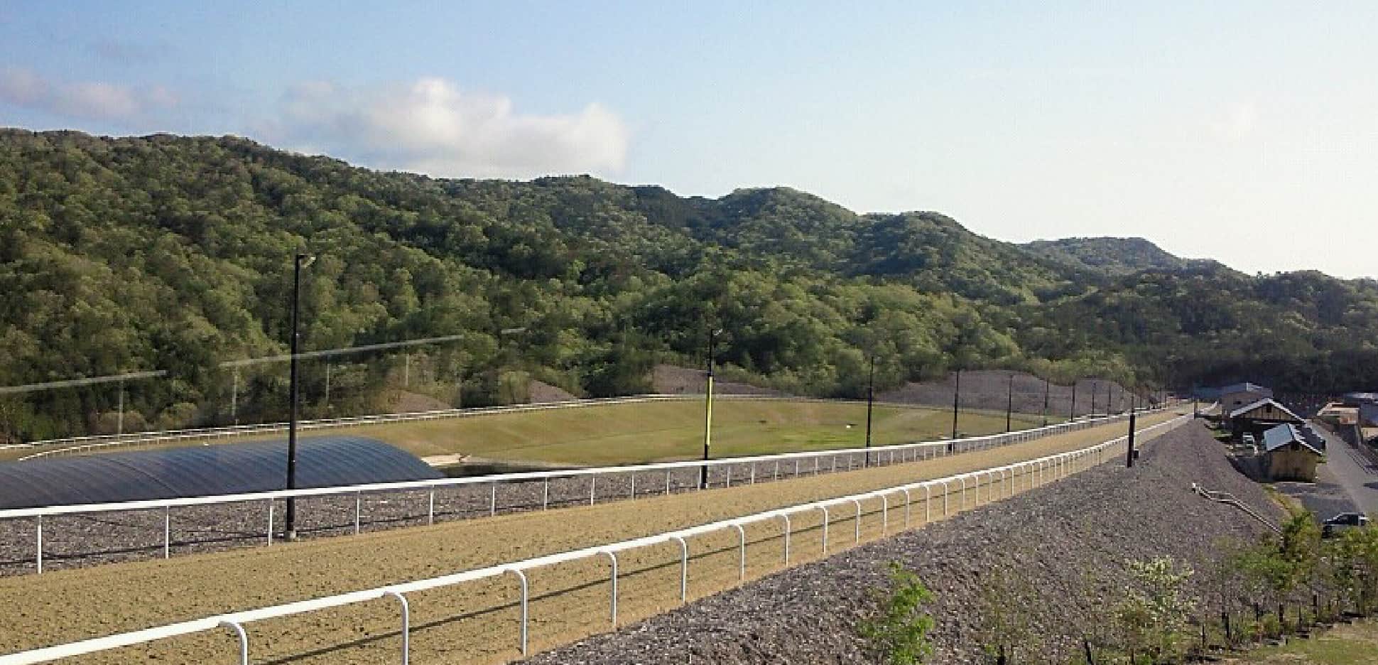 屋外800m直線坂路コース