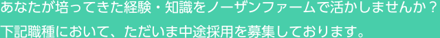 あなたが培ってきた経験・知識をノーザンファームで活かしませんか？下記職種において、ただいま中途採用を募集しております。