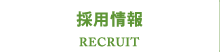 採用情報