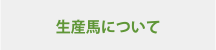 生産馬について