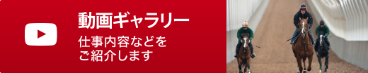 動画ギャラリー 仕事内容などをご紹介します